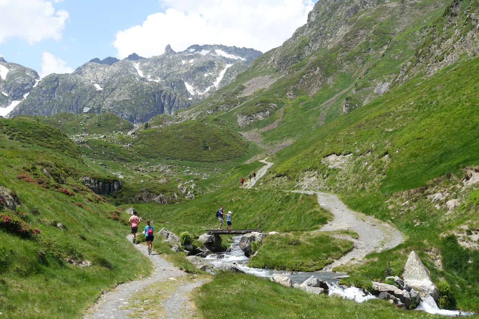 Pexels tyvalloire